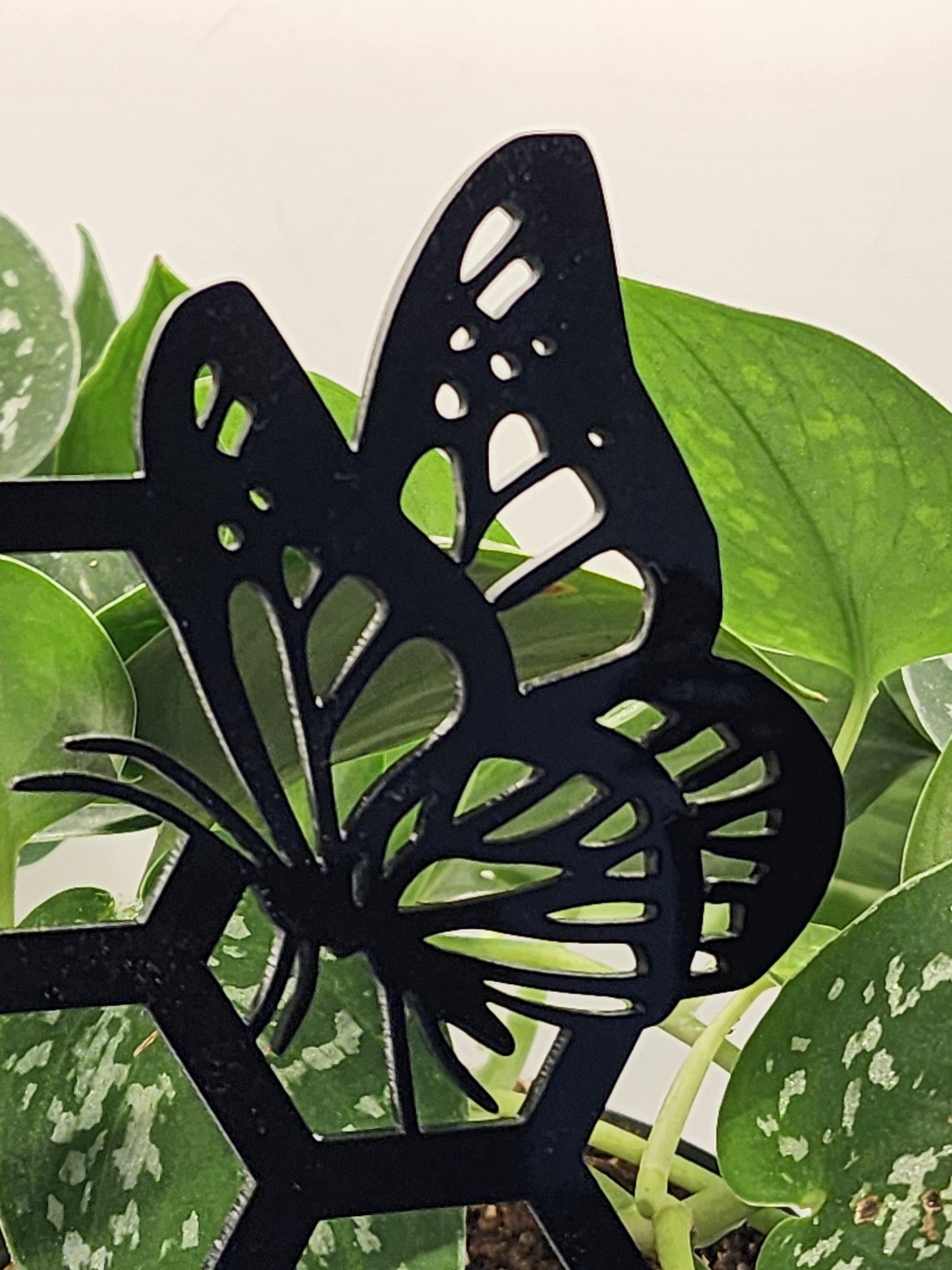 Butterfly plant trellis black 11 inches tall