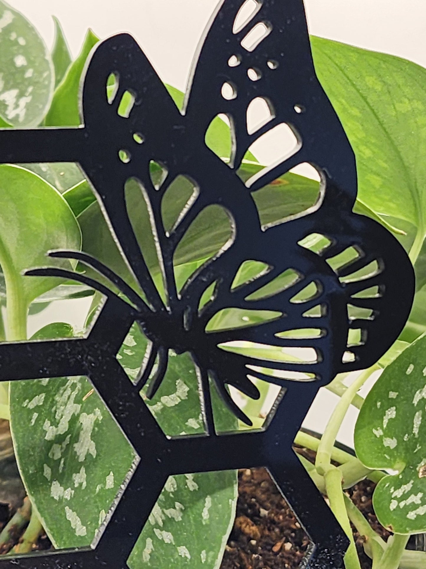 Butterfly plant trellis black 11 inches tall