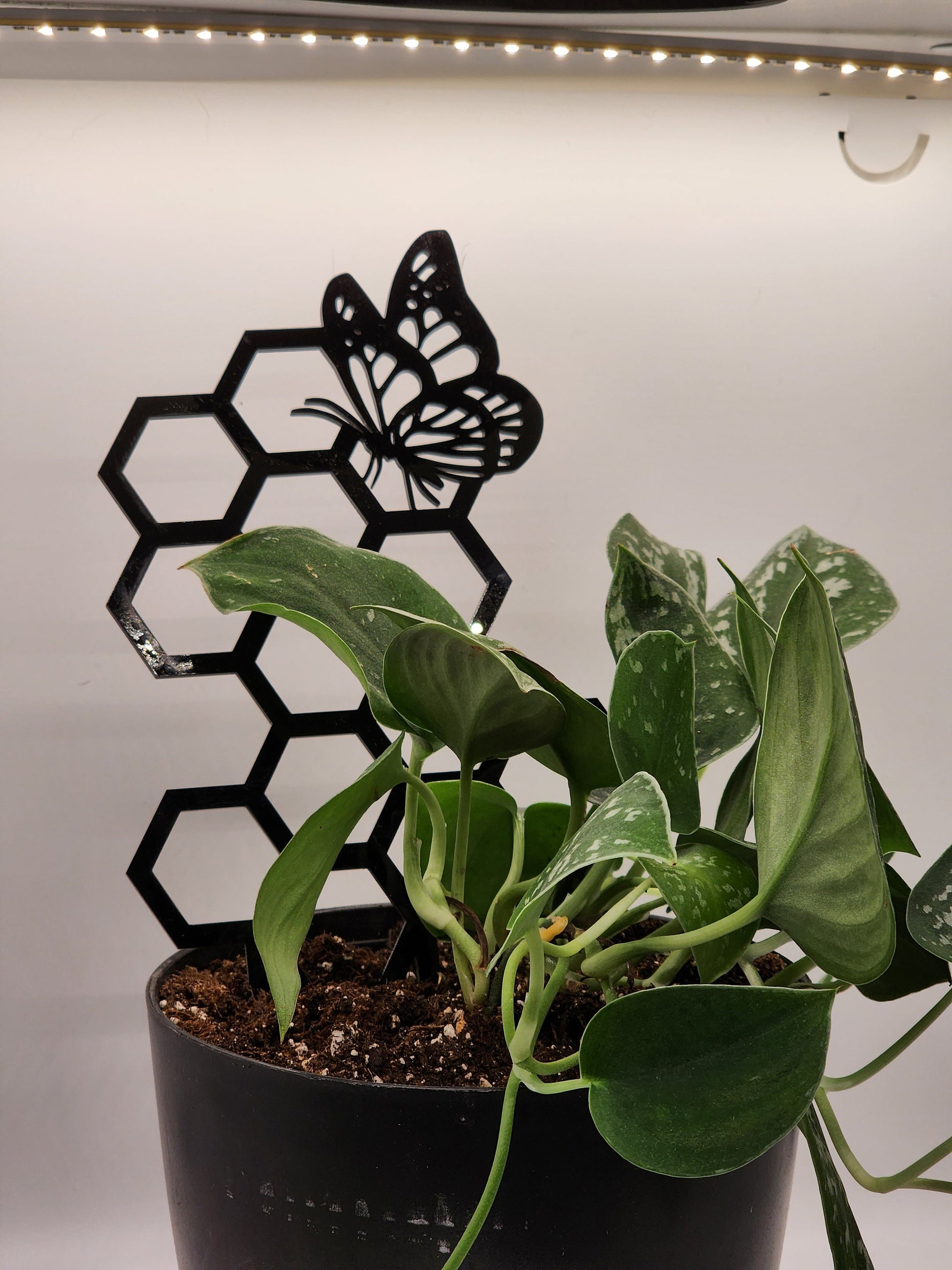 Butterfly plant trellis black 11 inches tall