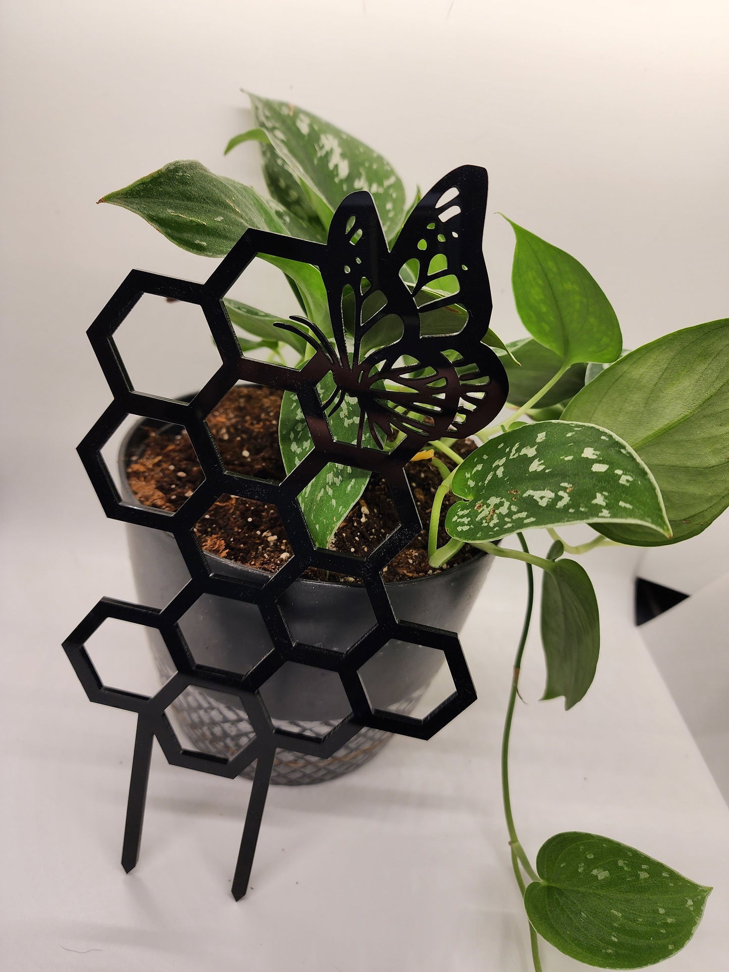 Butterfly plant trellis black 11 inches tall
