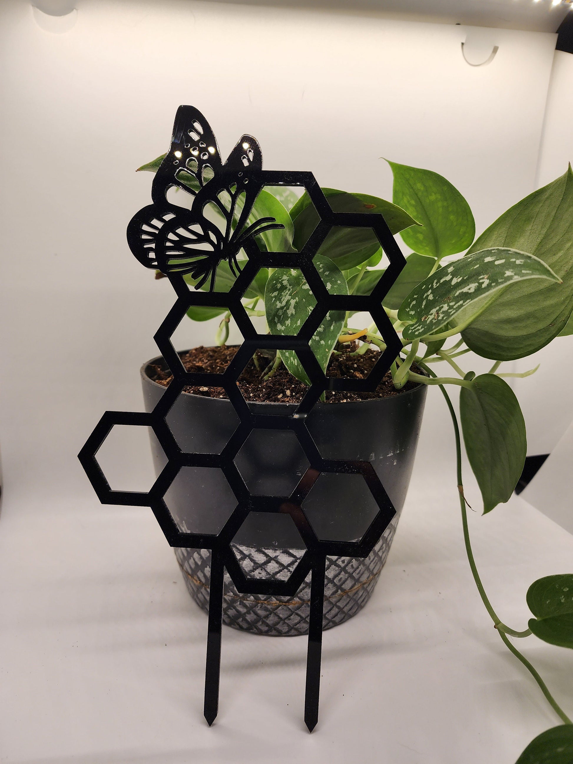 Butterfly plant trellis black 11 inches tall