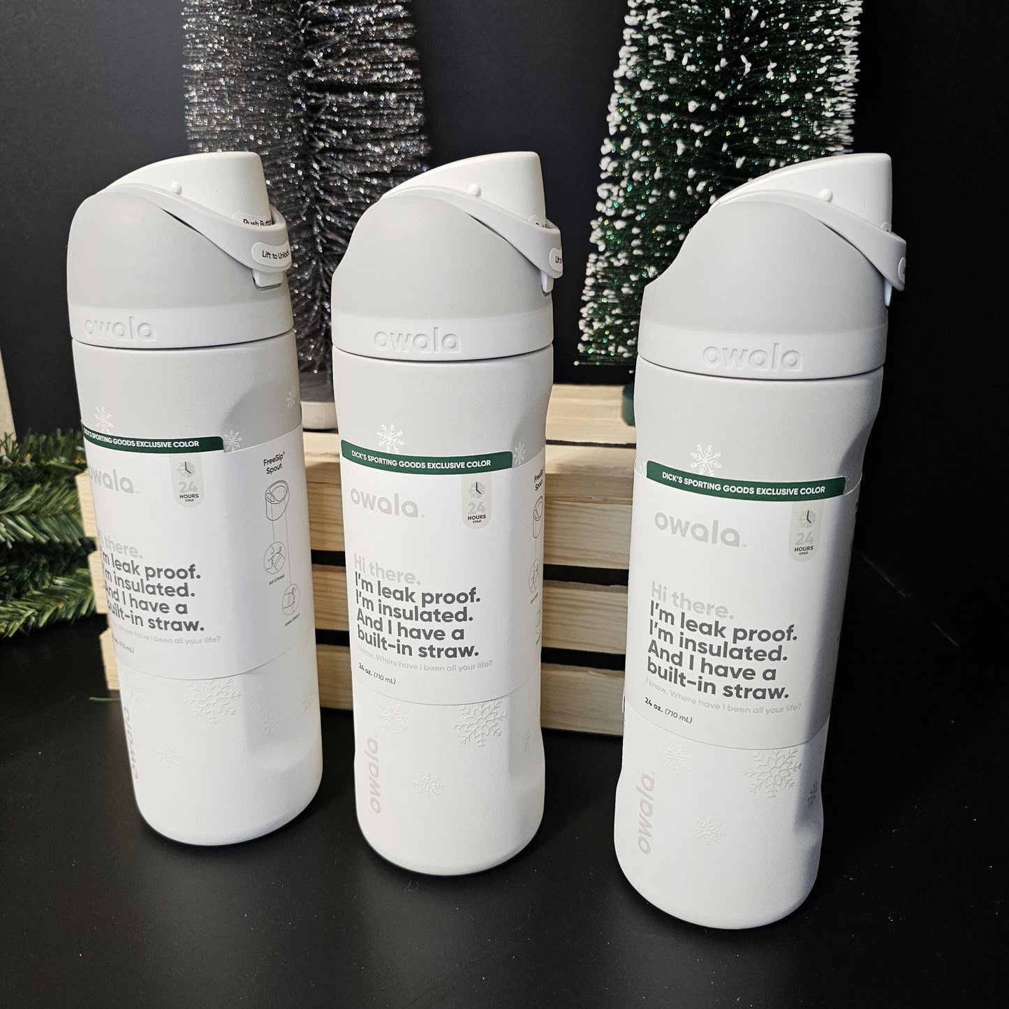 Owala Snowed In Drink Bottle, 24 oz BPA-Free Bottle, Flip Cap, leak proof Water Bottle