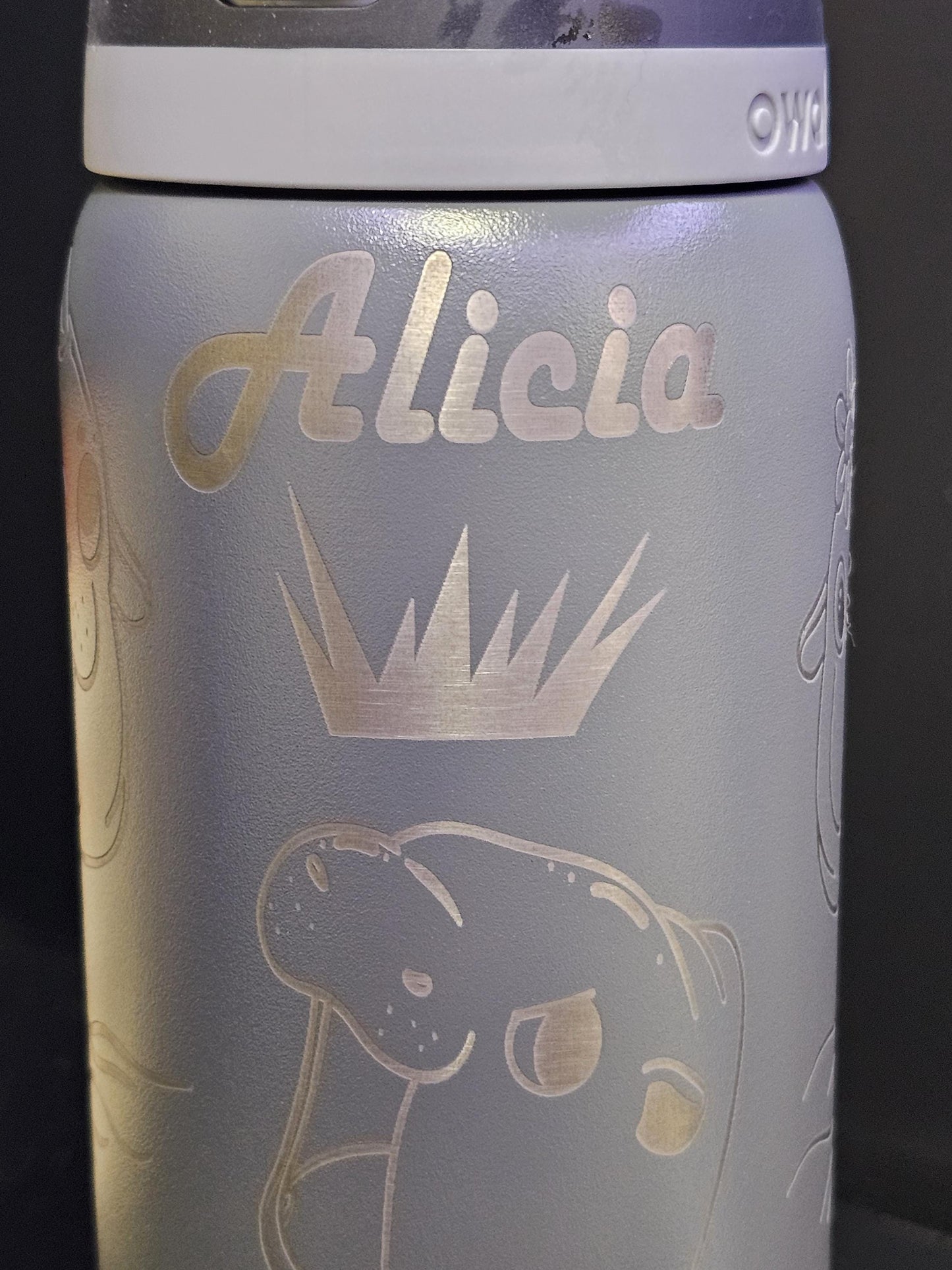Hippo Laser Engraved Owala 24 and 32 oz Bottle | Hippo Design | Fun & Personalized Drinkware