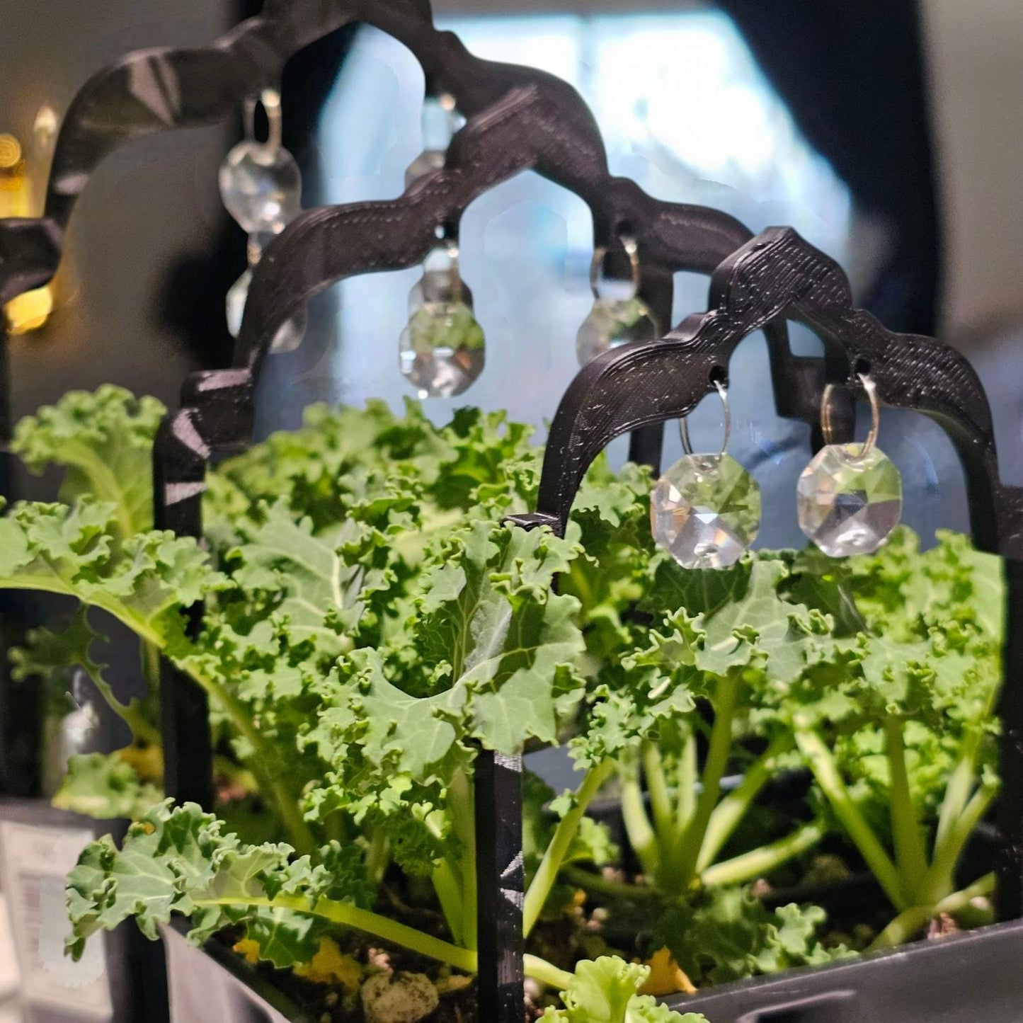 Arch Plant Trellis, Suncatcher Cute Plant Support, Indoor Garden Decor, Plant Accessory, Houseplant Trellis, Unique Gift