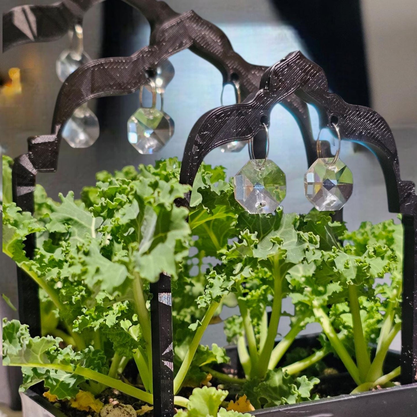 Arch Plant Trellis, Suncatcher Cute Plant Support, Indoor Garden Decor, Plant Accessory, Houseplant Trellis, Unique Gift