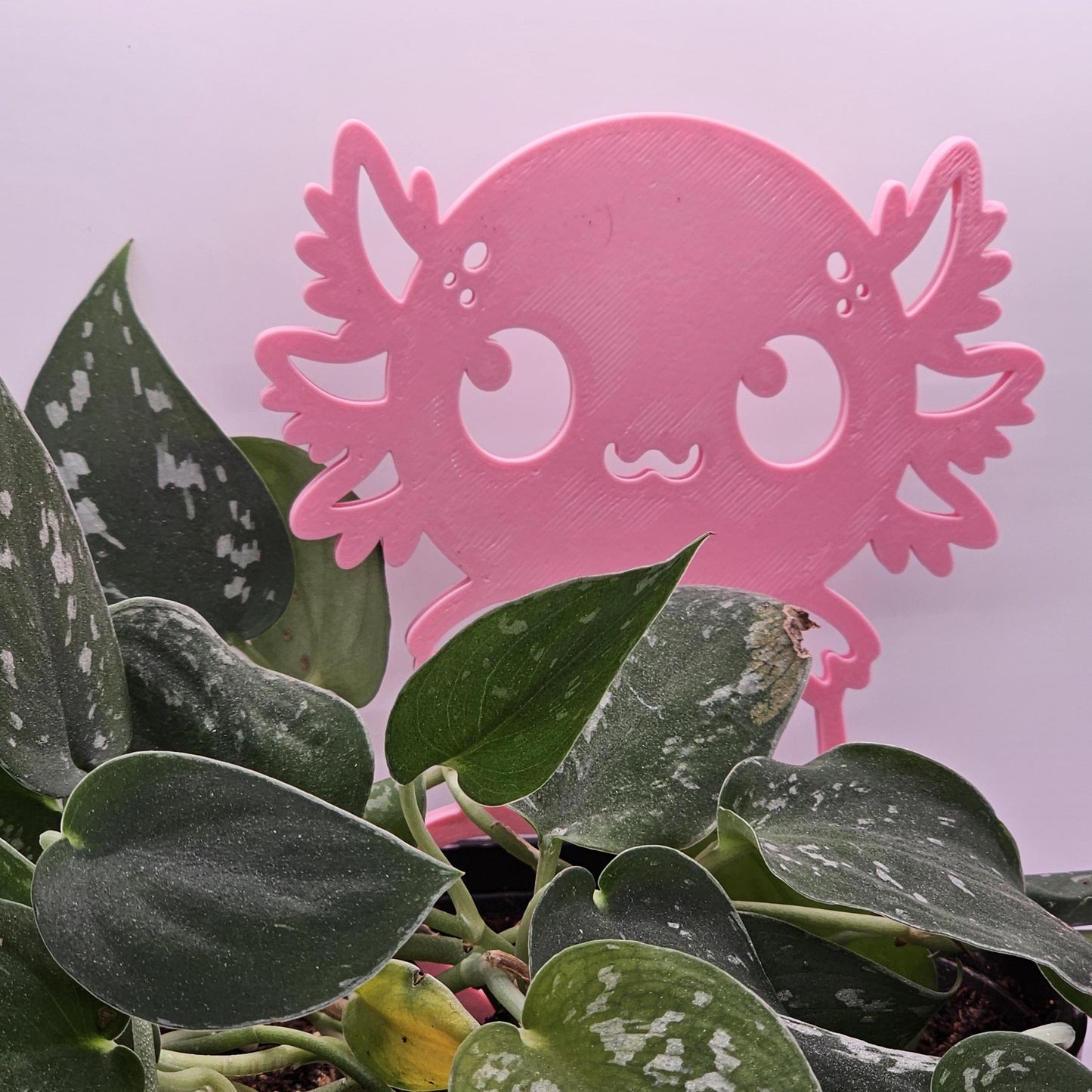 Axolotl Plant Trellis, Cute Plant Support, Indoor Garden Decor, Plant Accessory, Houseplant Trellis, Unique Gift