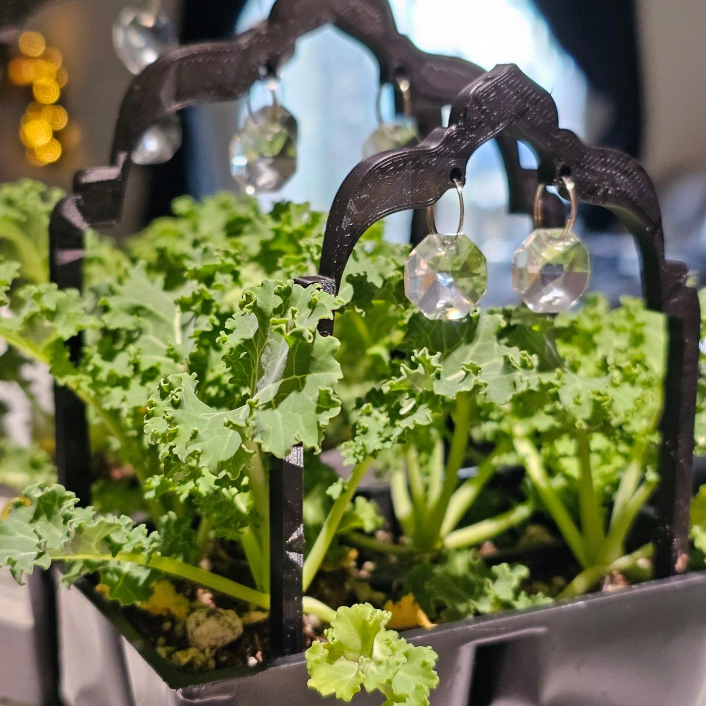 Arch Plant Trellis, Suncatcher Cute Plant Support, Indoor Garden Decor, Plant Accessory, Houseplant Trellis, Unique Gift