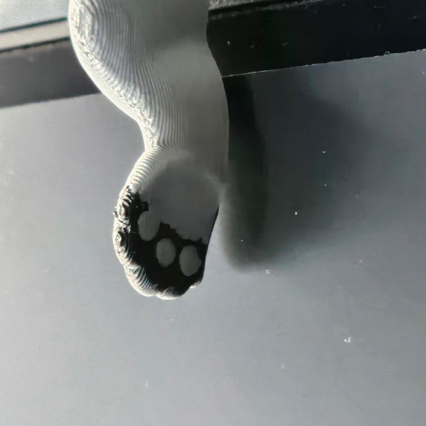 Sleeping Koala for bookshelf or monitor, Unique Koala Lover Present, 3D Printed, Shelf Decor office Decor