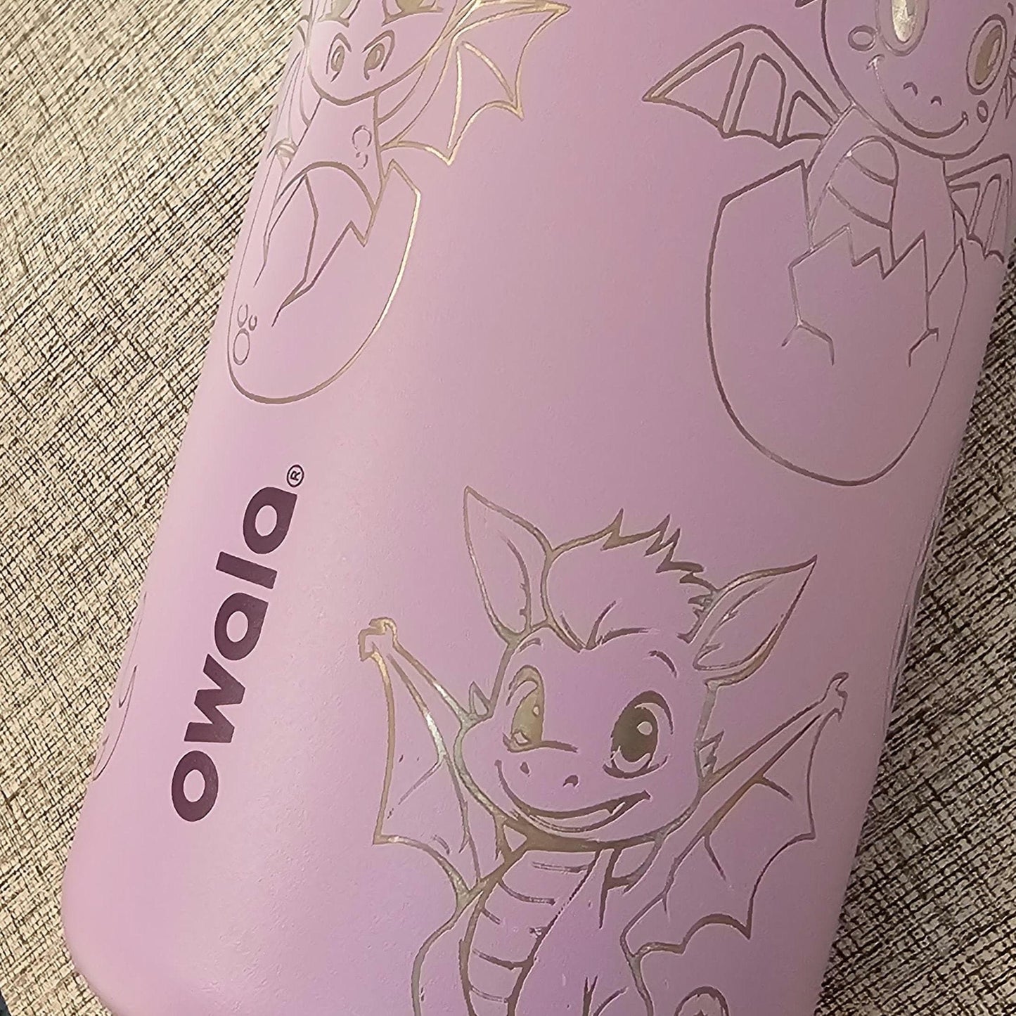 Cute Baby Dragon Owala 20, 24 and 32 oz Bottle | Custom Engraved Owala free sip and Smooth sip bottles