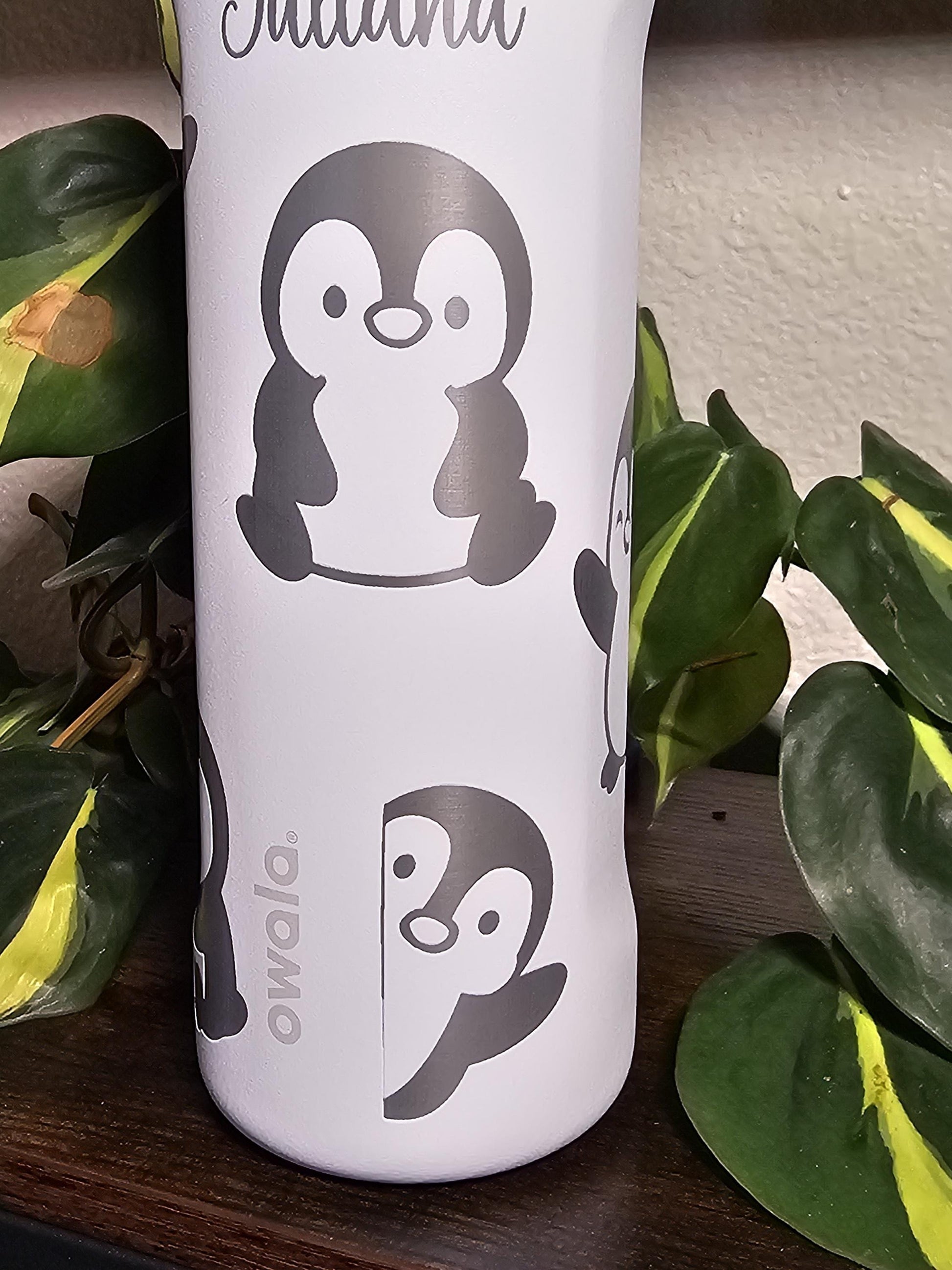Penguin Design Engraved Owala Bottle: Custom Freesip, Sway, Smooth Sip, optional personalization