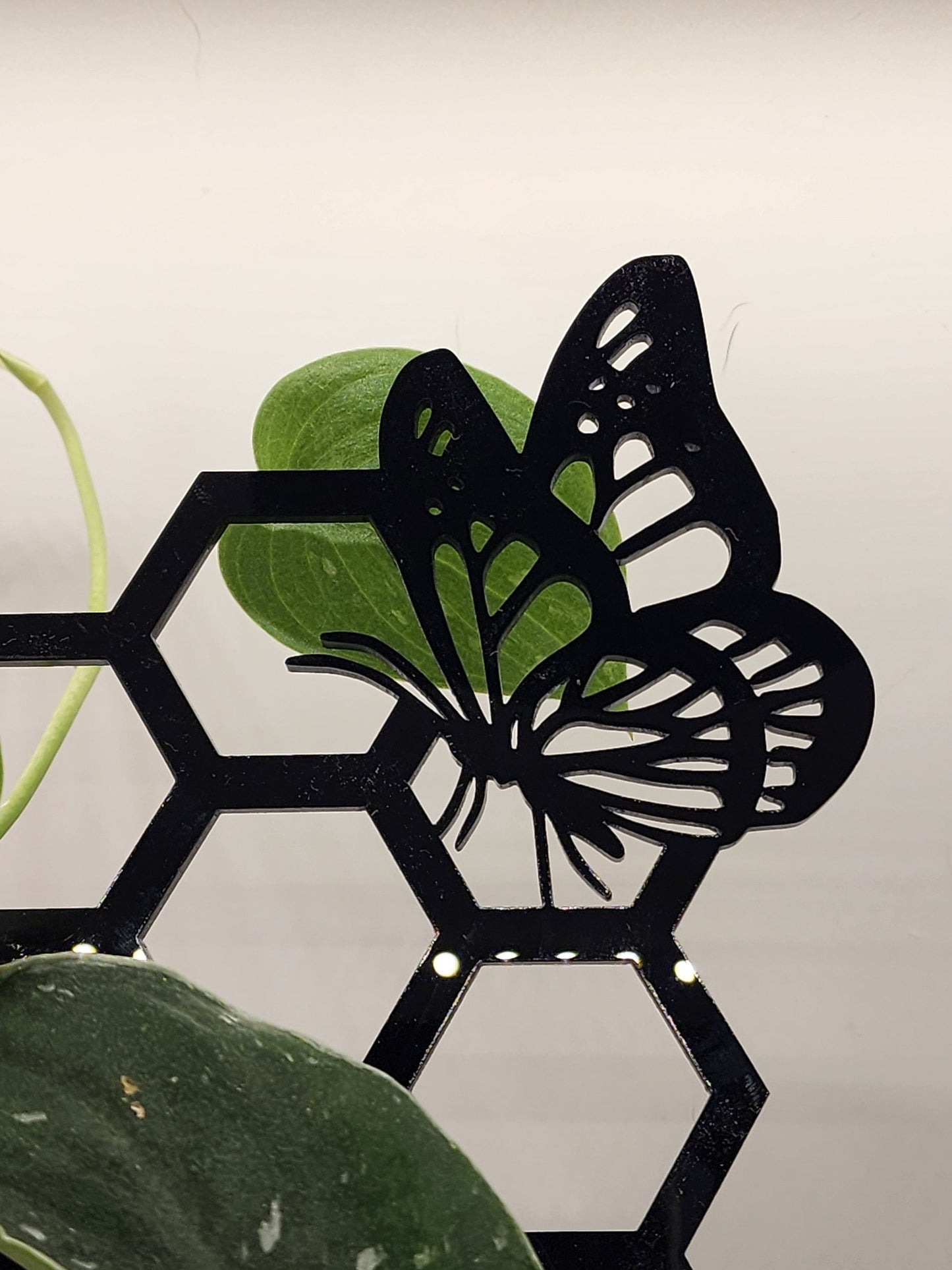 Butterfly plant trellis black 11 inches tall