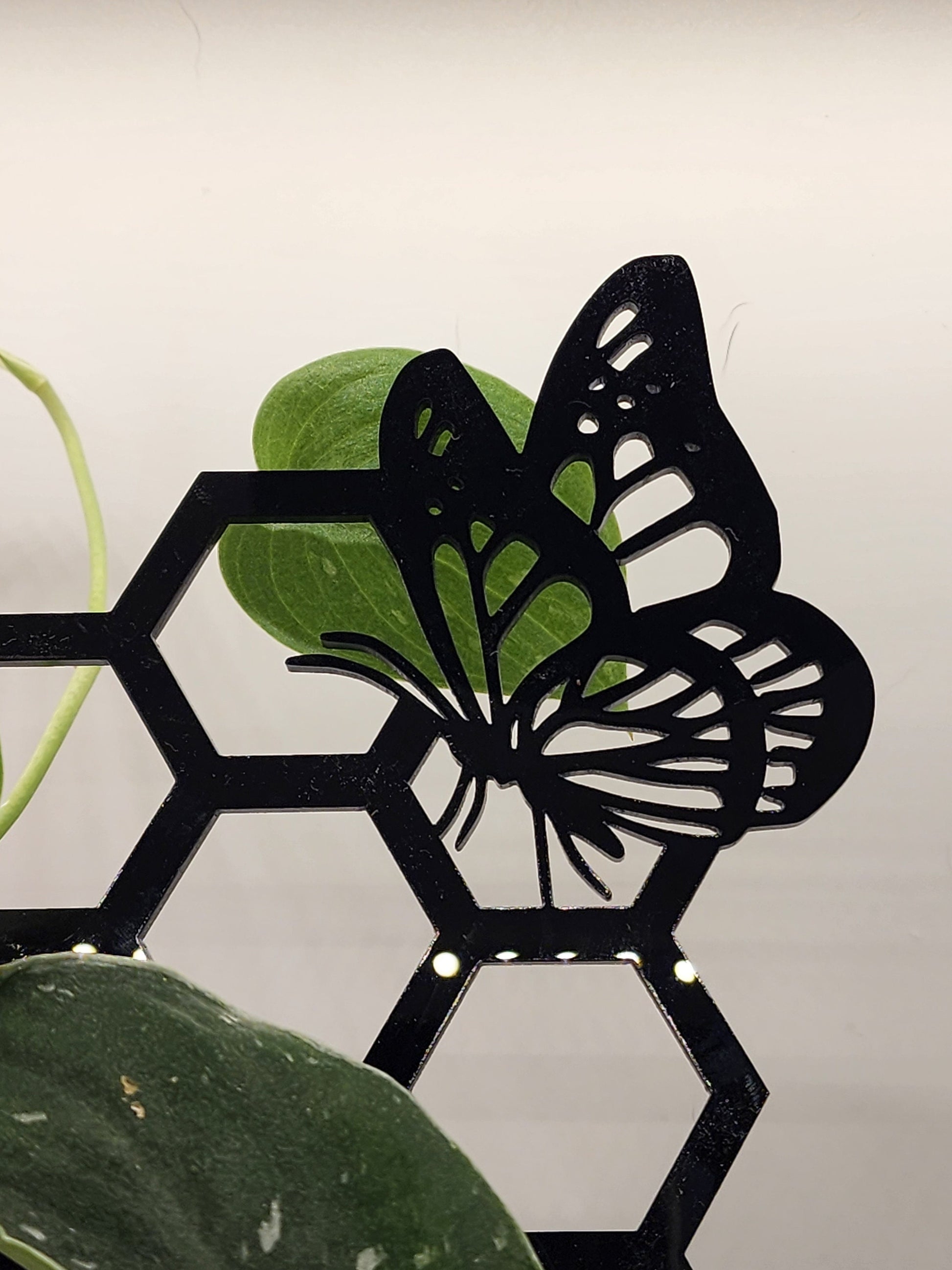 Butterfly plant trellis black 11 inches tall