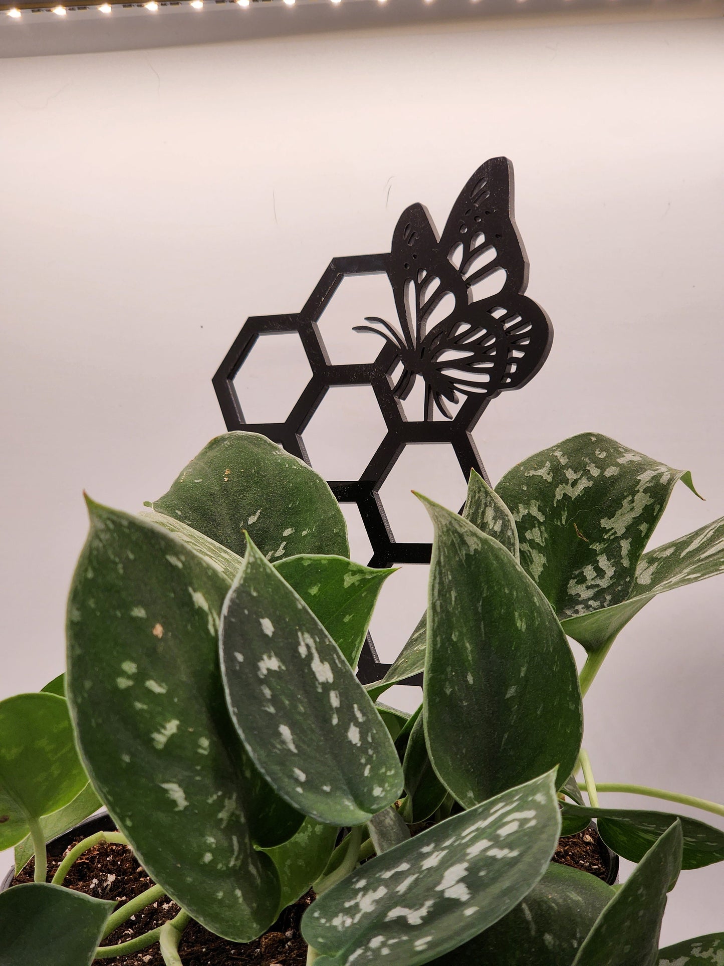 Butterfly plant trellis black 11 inches tall