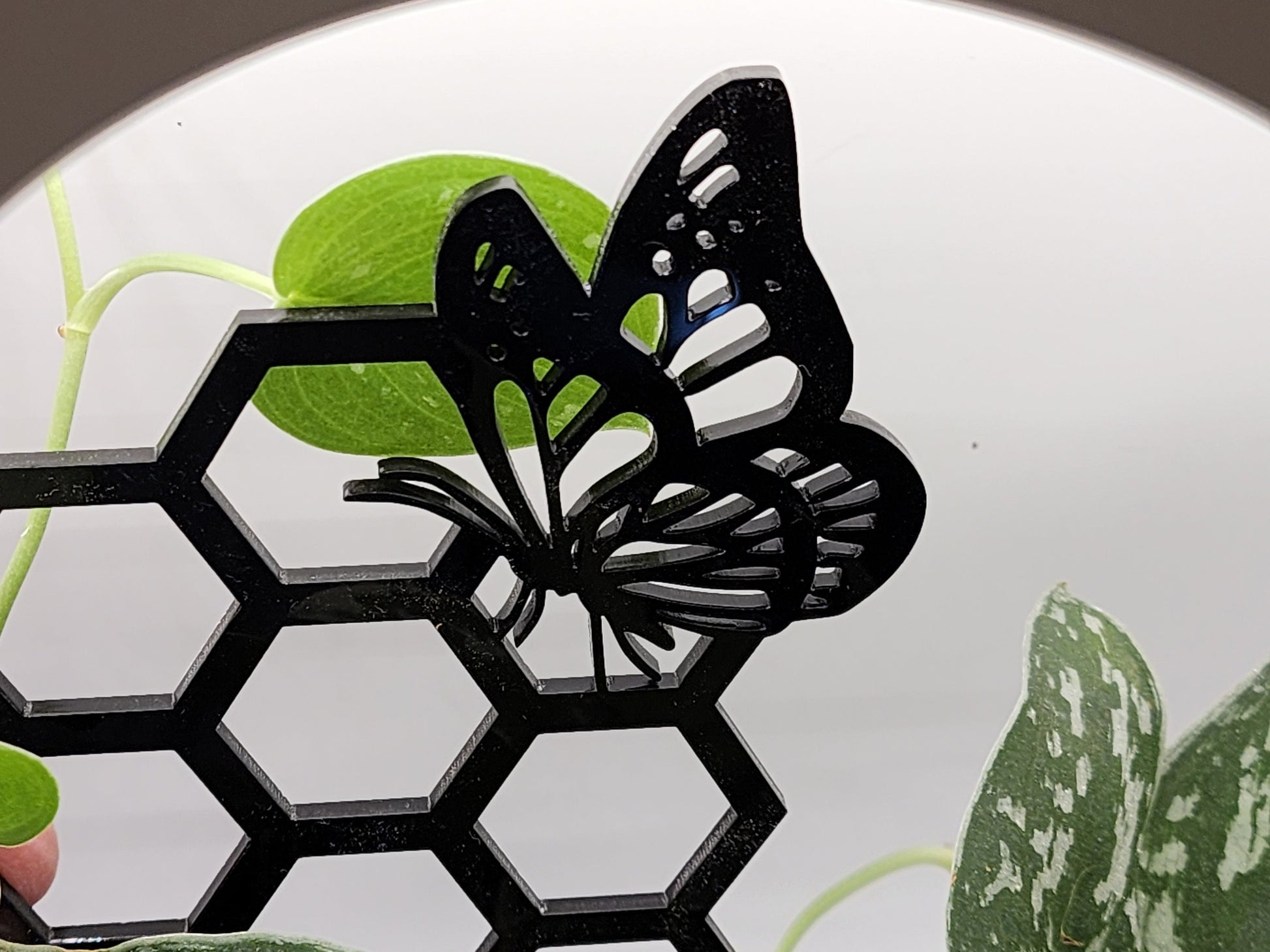 Butterfly plant trellis black 11 inches tall