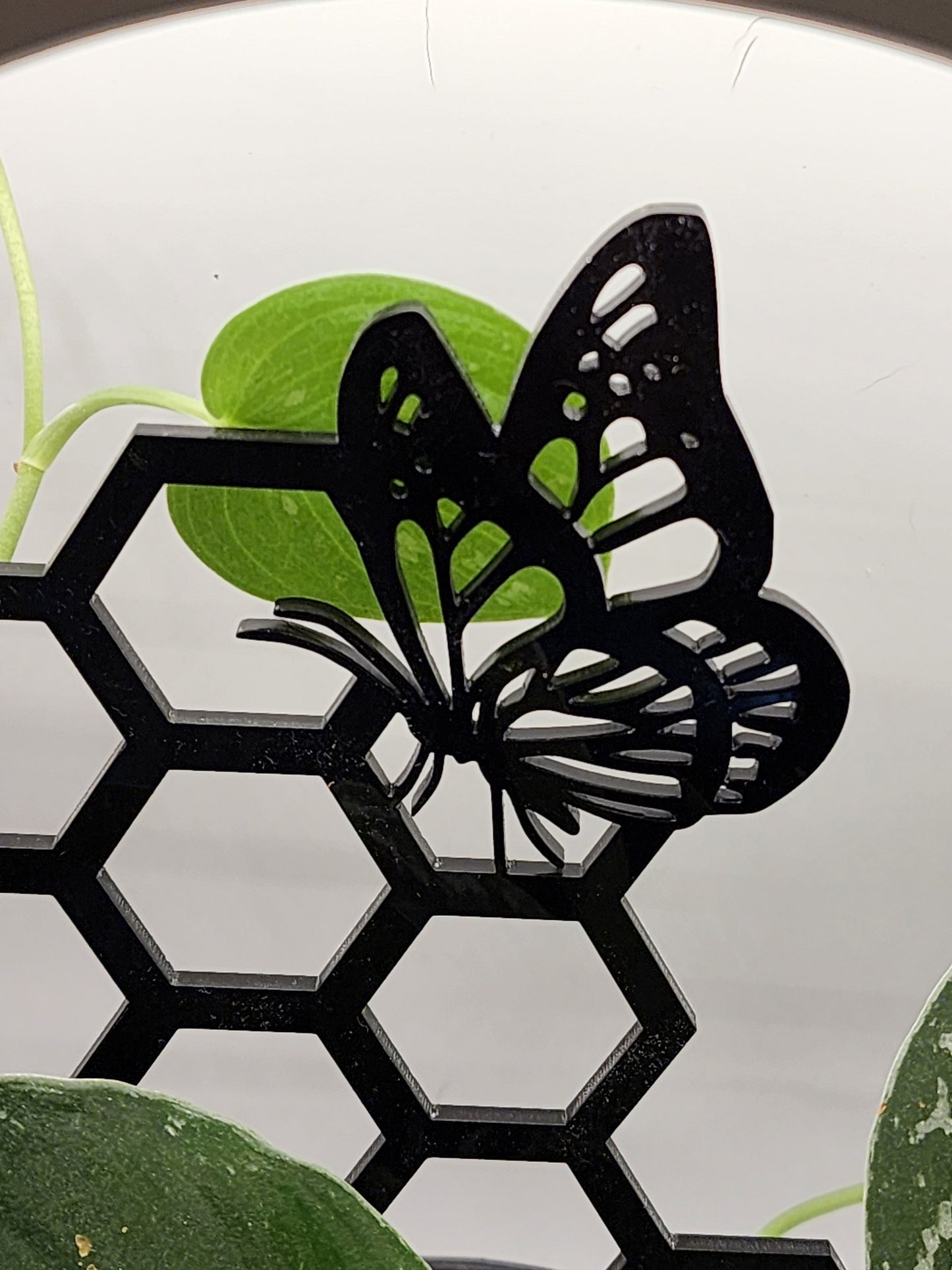 Butterfly plant trellis black 11 inches tall