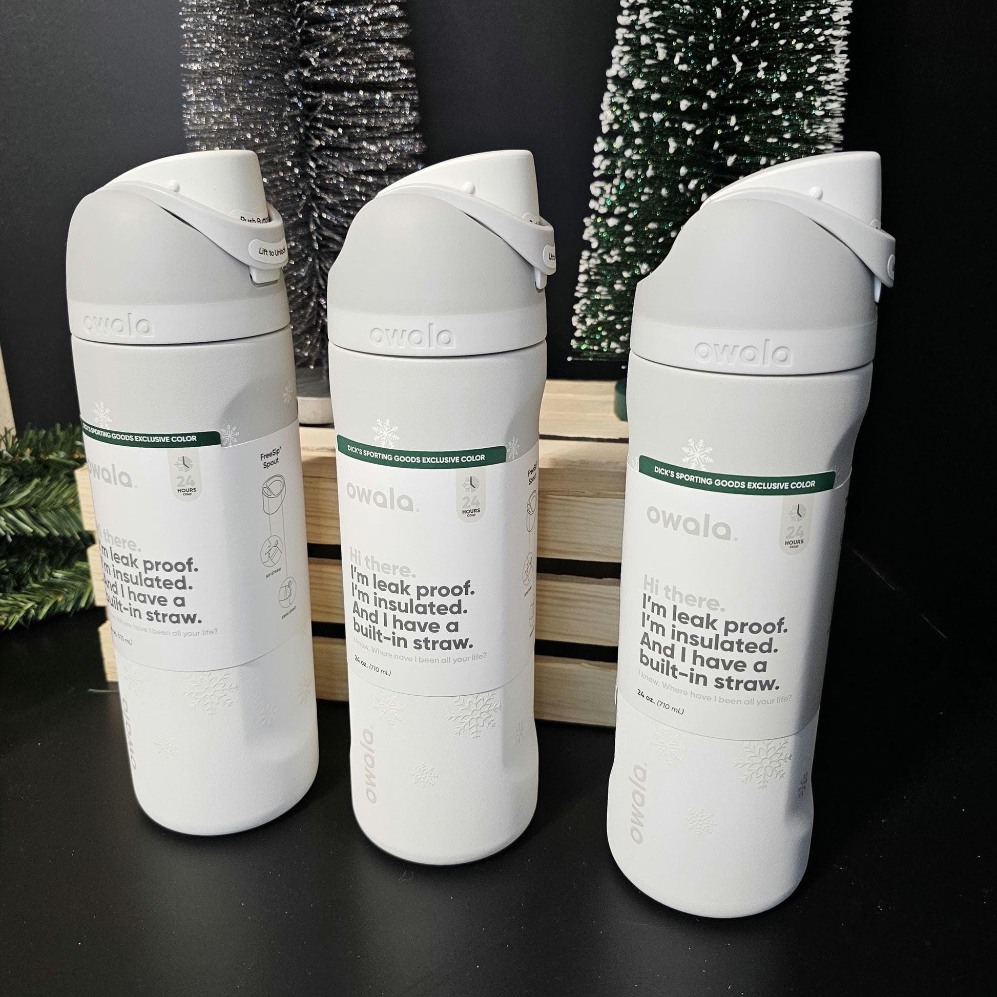 Owala Snowed In Drink Bottle, 24 oz BPA-Free Bottle, Flip Cap, leak proof Water Bottle