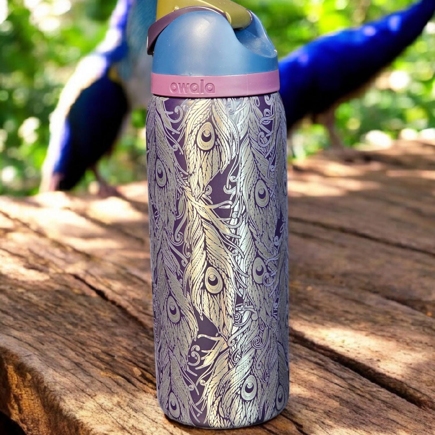 Peacock Engraved Owala 24 and 32 oz Bottle | Peacock feathers,