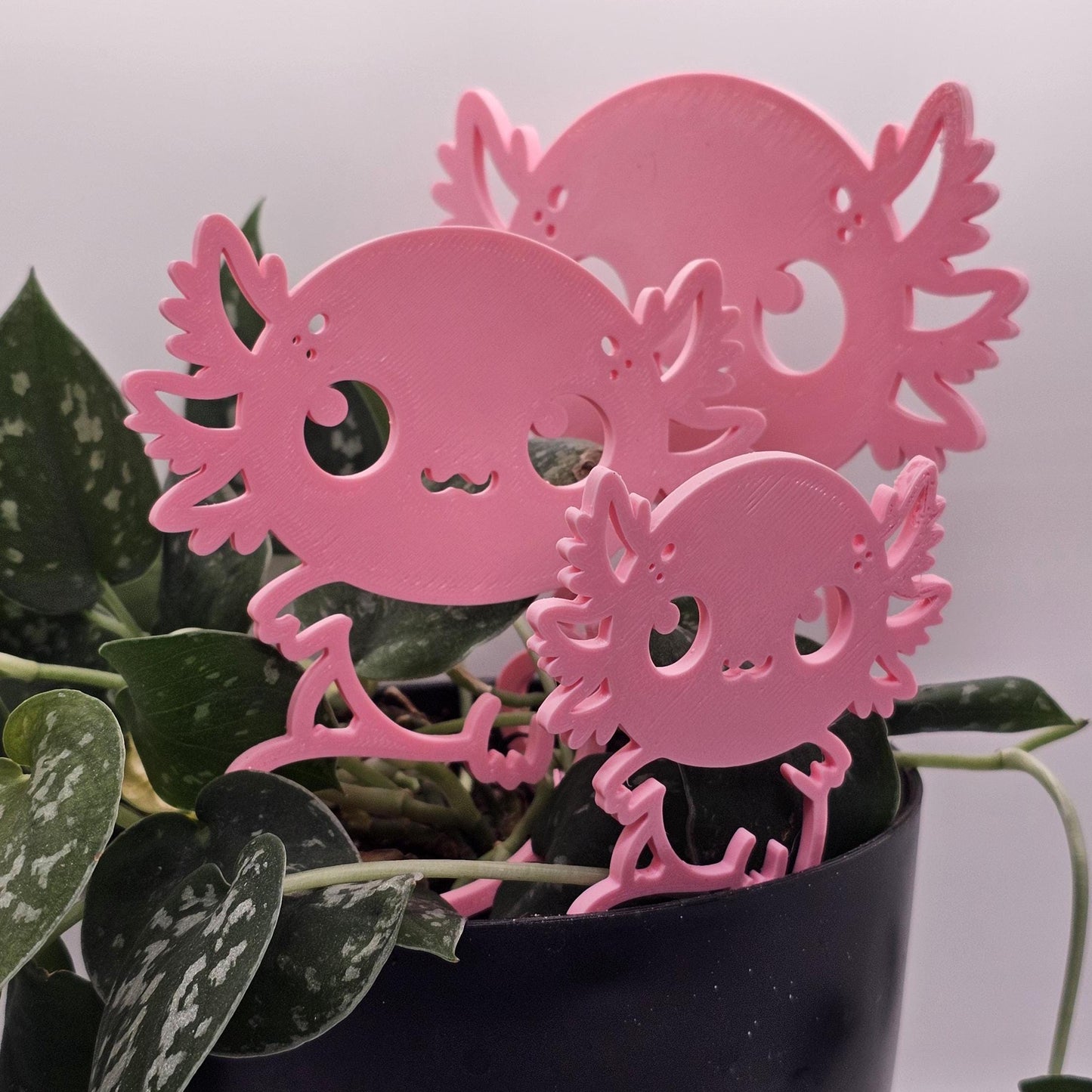 Axolotl Plant Trellis, Cute Plant Support, Indoor Garden Decor, Plant Accessory, Houseplant Trellis, Unique Gift