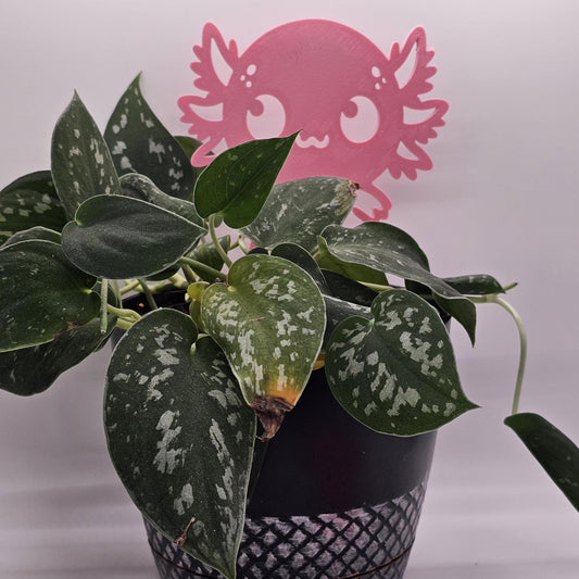 Axolotl Plant Trellis, Cute Plant Support, Indoor Garden Decor, Plant Accessory, Houseplant Trellis, Unique Gift