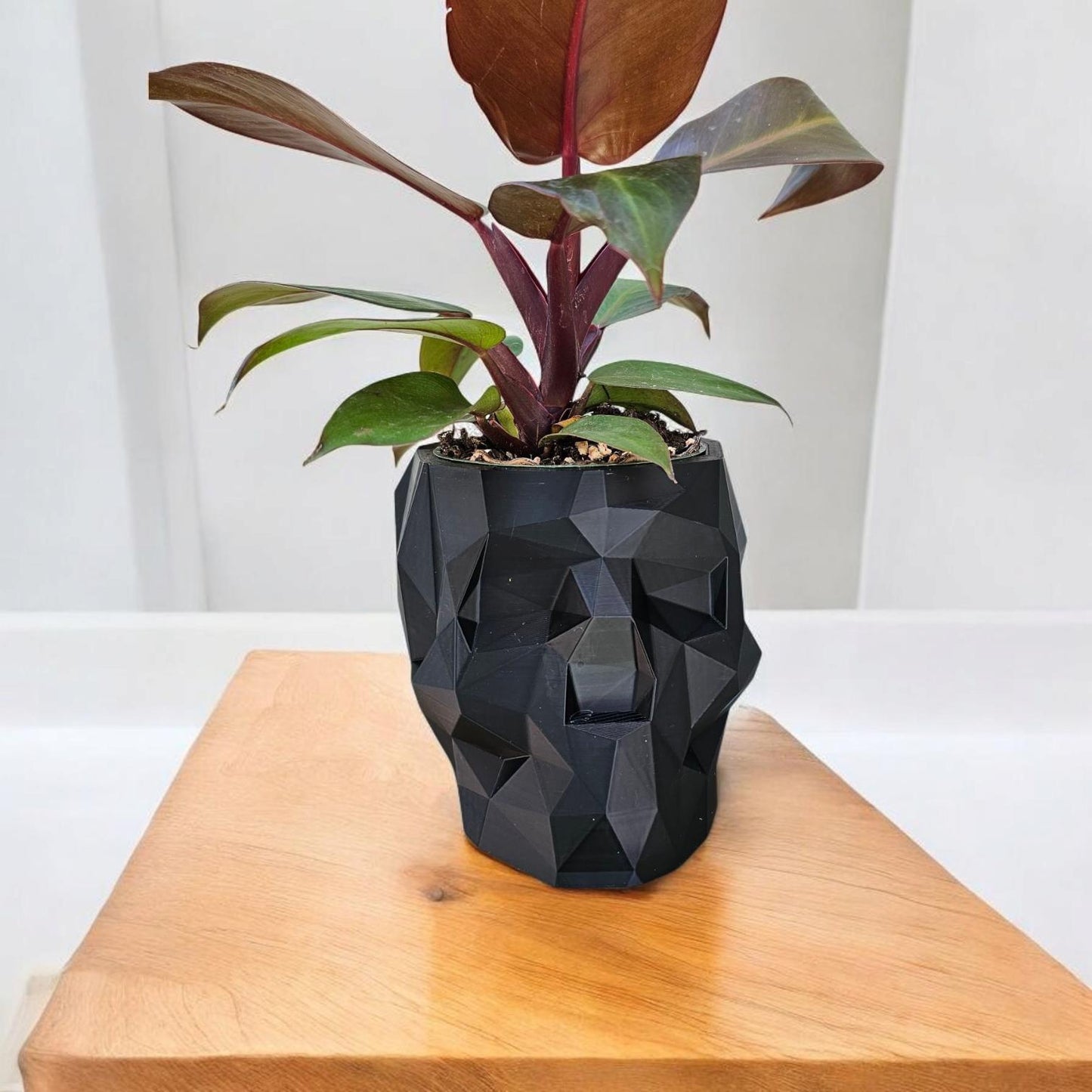 3D Printed Geometric Skull Planter: Gothic Home Decor
