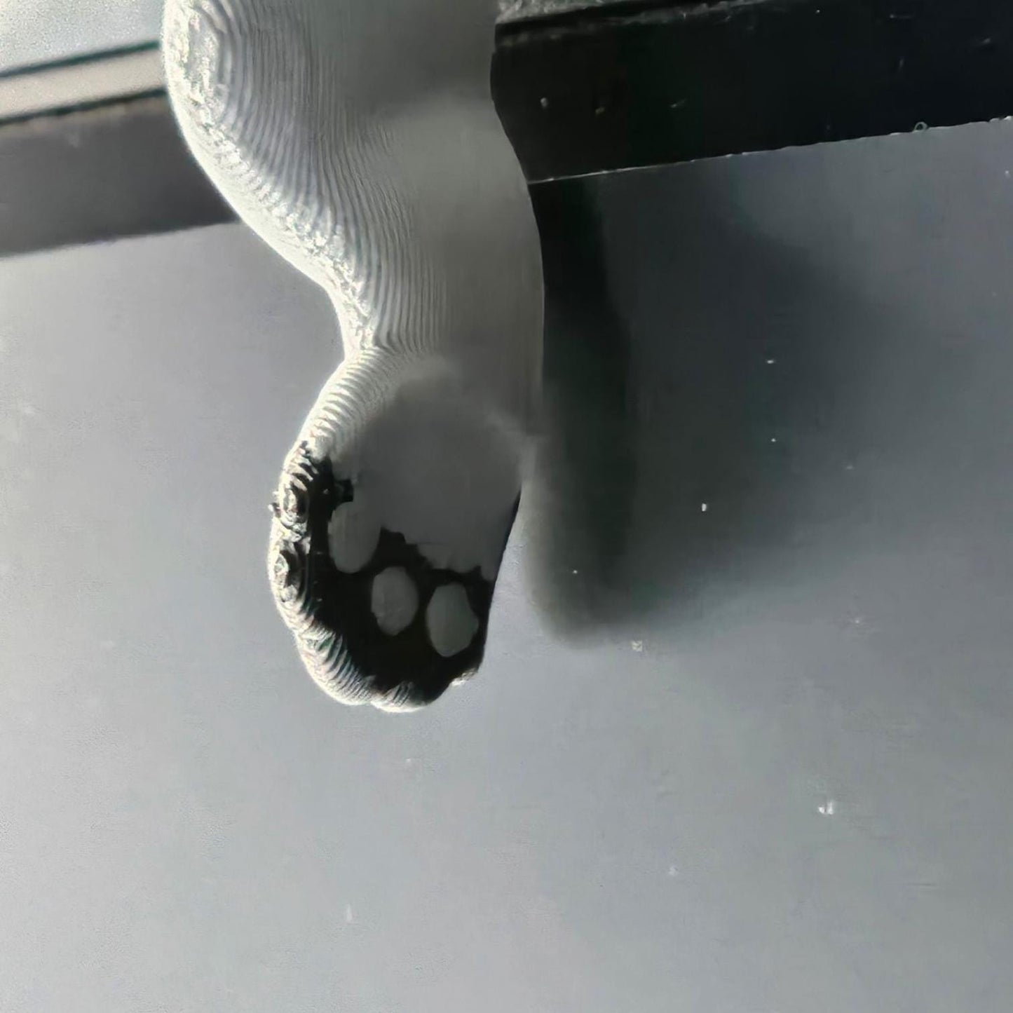 3D Printed Sleeping Koala Shelf Sitter: Unique Office Decor