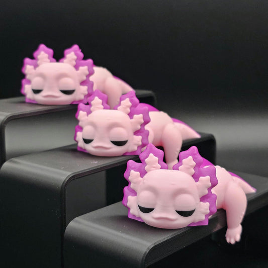 Sleeping Axolotl for bookshelf or monitor, Unique Axolotl Present, 3D Printed, Shelf Decor office Decor