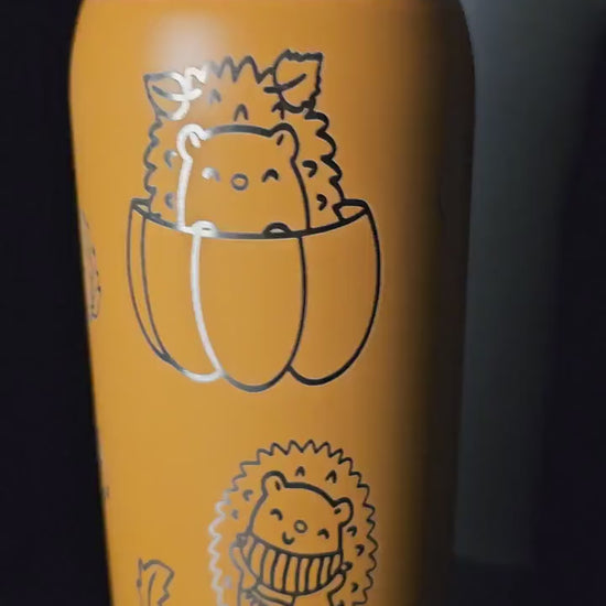 Hedgehog Fall Owala 32 oz Tumbler, Harvest Tumbler, Fall season Lover Gift,  Leaf Drinkware