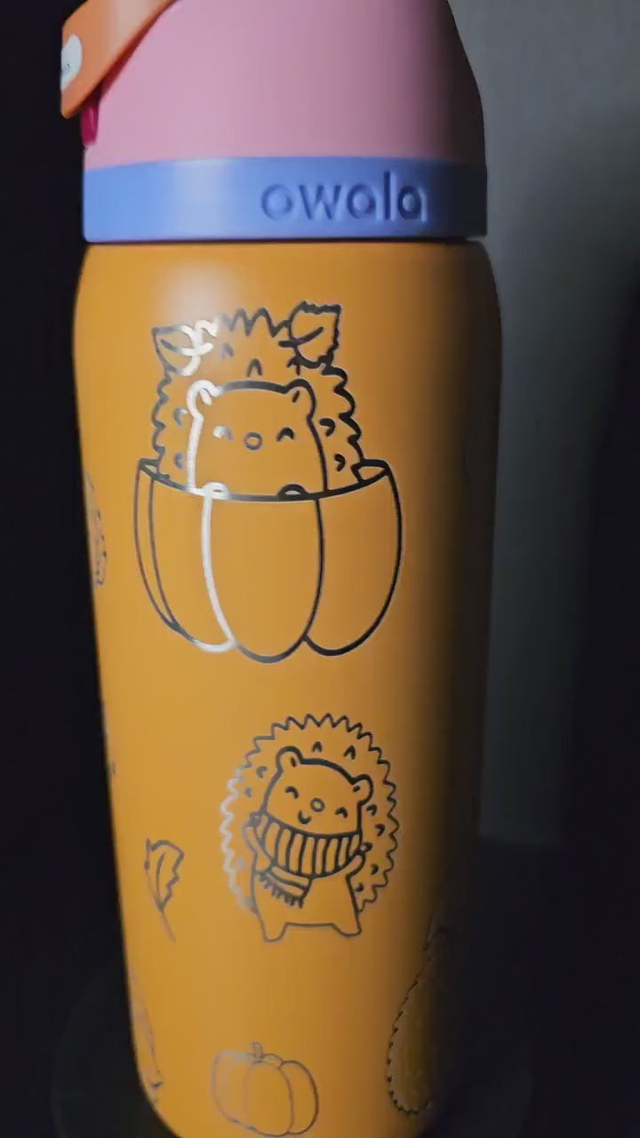 Hedgehog Fall Owala 32 oz Tumbler, Harvest Tumbler, Fall season Lover Gift,  Leaf Drinkware